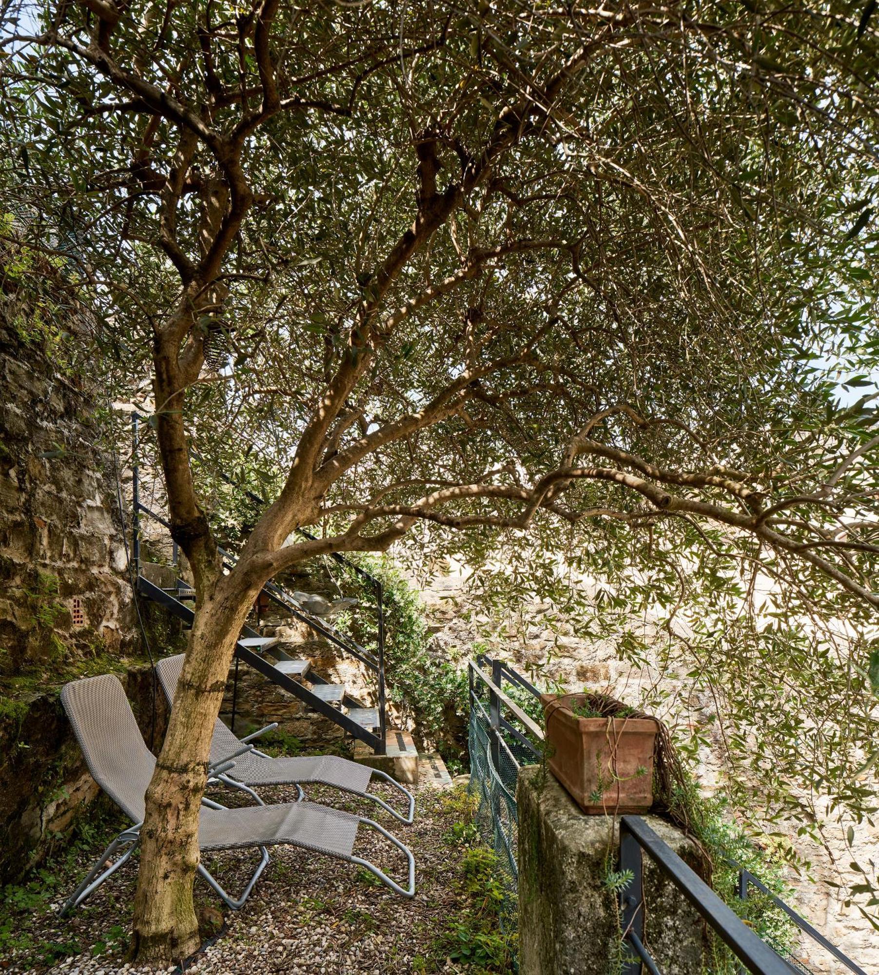 Giardino Segreto, In Centro Daire Trieste Dış mekan fotoğraf